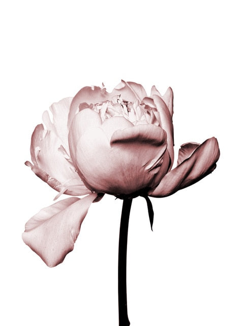Floral muslim home decor canva
